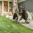 Witchwood™ Big Dot of Happiness Jack-O'-Lantern Halloween - Black Cat Ghost Skull & Witch Hat Lawn Decor - Outdoor Kids Halloween Party Yard Decorations - 10 Pc