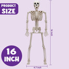 Witchwood™ 5 PCS Posable Halloween Skeleton Decor 16 Inches, Full Body Posable Joints Hanging Skeletons for Halloween Decorations, Graveyard Props, Haunted House Accessories, Spooky Scene Party Favors