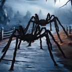 Witchwood™ 3 Pack 5 FT Giant Spider Halloween Decorations,Scary Spider Halloween Decorations Outdoor Party Decorations Props Halloween Yard Decorations,Black