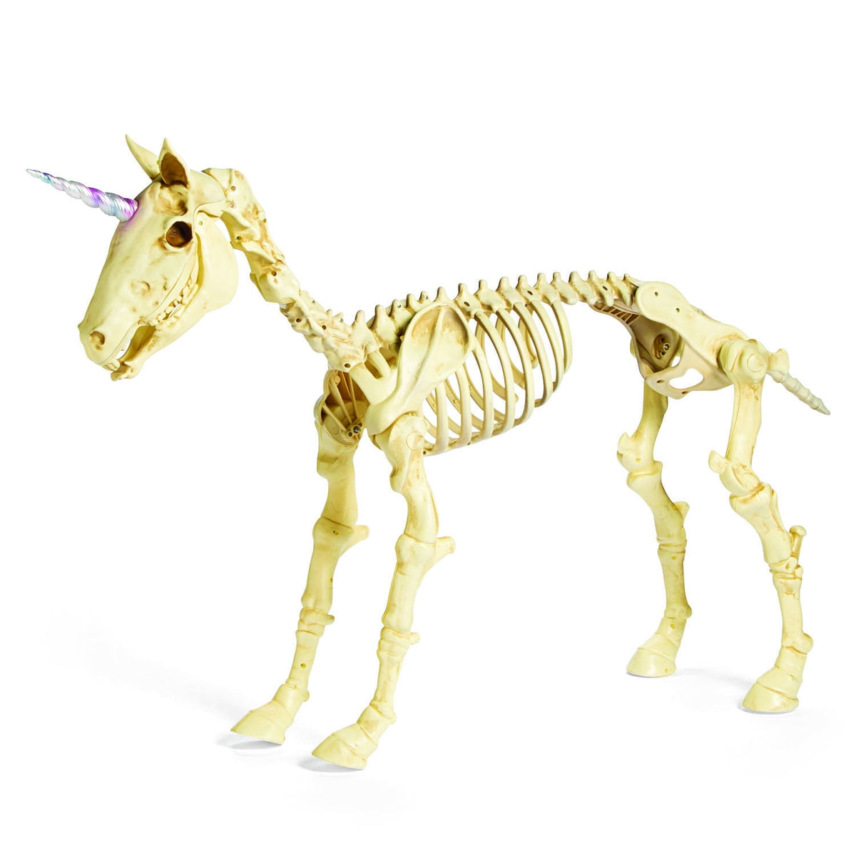 Witchwood™ Fun Express White Unicorn Skeleton Outdoor Decor, Halloween Macabre Design