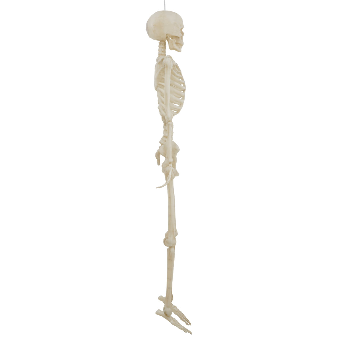 Witchwood™ 5-foot Poseable LED Illuminated Skeleton, Halloween Decoration