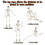 Witchwood™ OZMI Halloween Skeleton Decoration for Haunted House, 38 Inch Full Body Plastic Skull Skeleton with Posable Joints for Halloween Party Haunted House Bar Graveyard Decorations Party