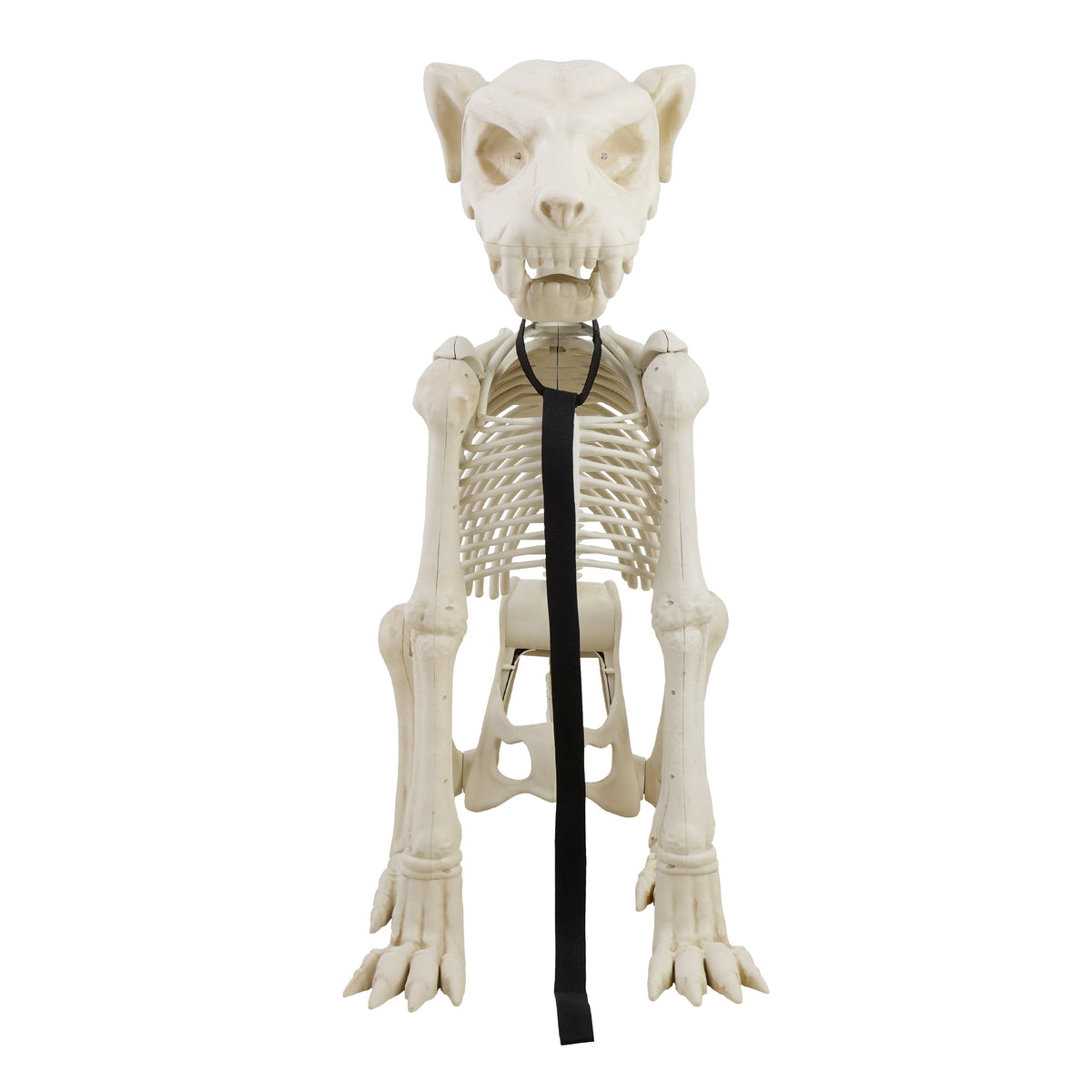Witchwood™ 60-inch Animated Beige Skeleton Dog, Halloween Decoration