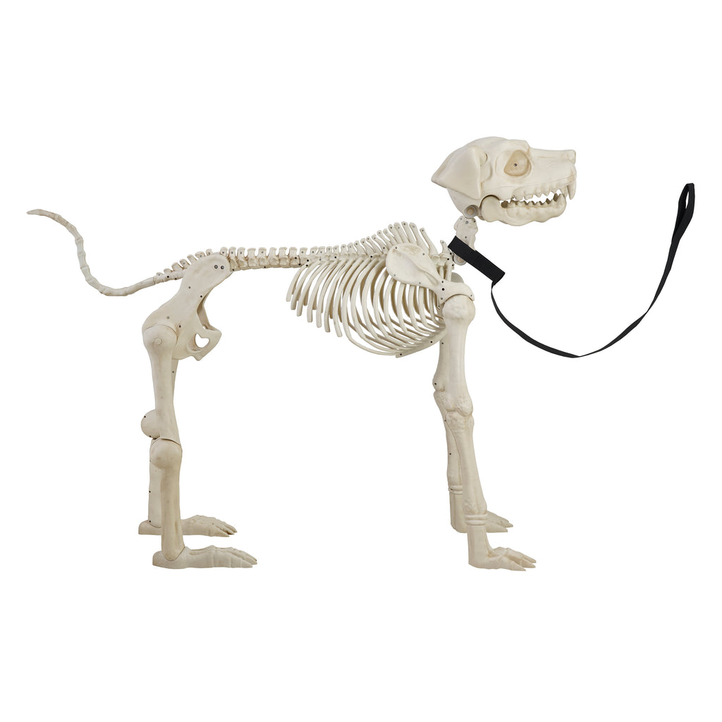 Witchwood™ 60-inch Animated Beige Skeleton Dog, Halloween Decoration