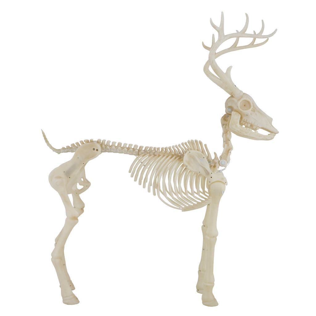 Witchwood™ LED Illuminated Deer Skeleton, 60-inch, Halloween Decoration