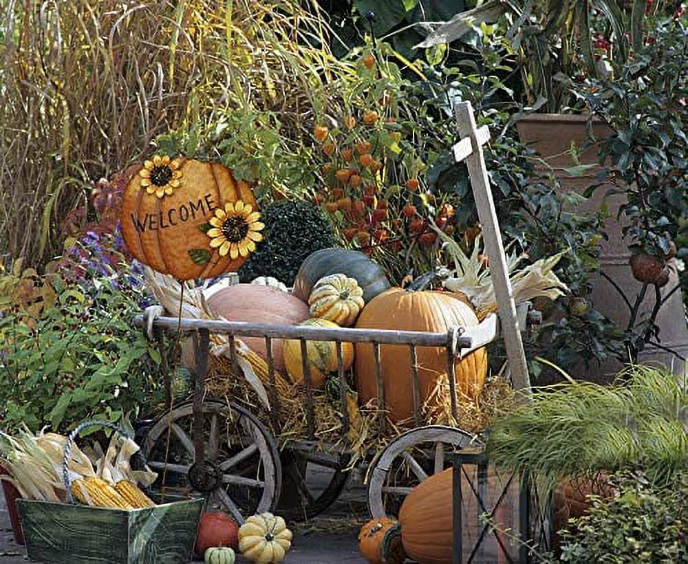 Witchwood™ Pumpkin Garden Stake Metal Welcome Sign Fall Decor, Decorative Pumpkin Yard Garden Dcor Outdoor for Autumn Harvest Thanksgiving Halloween Rustic Pumpkin Decoration for Home (1, 14inX36.75in)