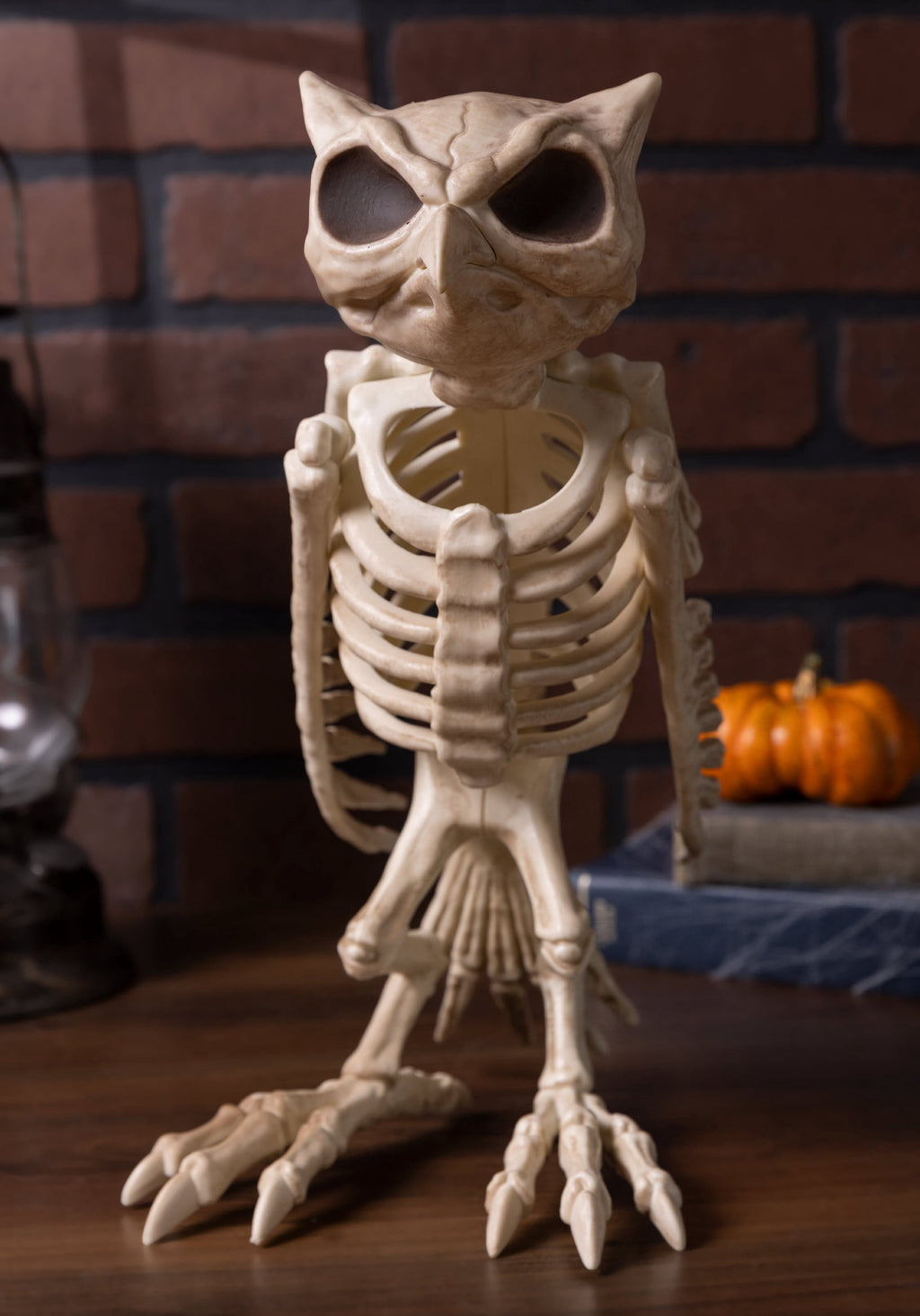 Witchwood™ USA Owl Skeleton Halloween Decoration - 13.5 in