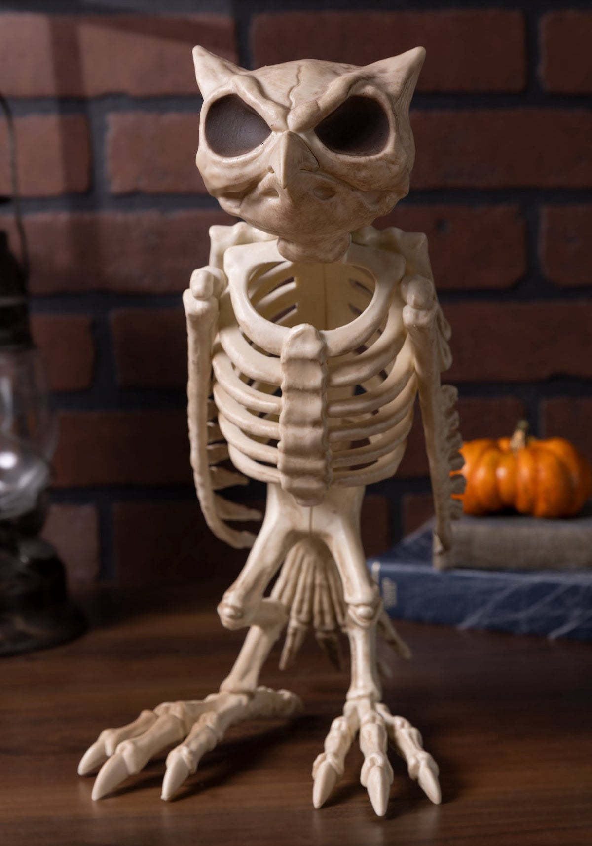 Witchwood™ USA Owl Skeleton Halloween Decoration - 13.5 in