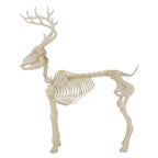 Witchwood™ LED Illuminated Deer Skeleton, 60-inch, Halloween Decoration