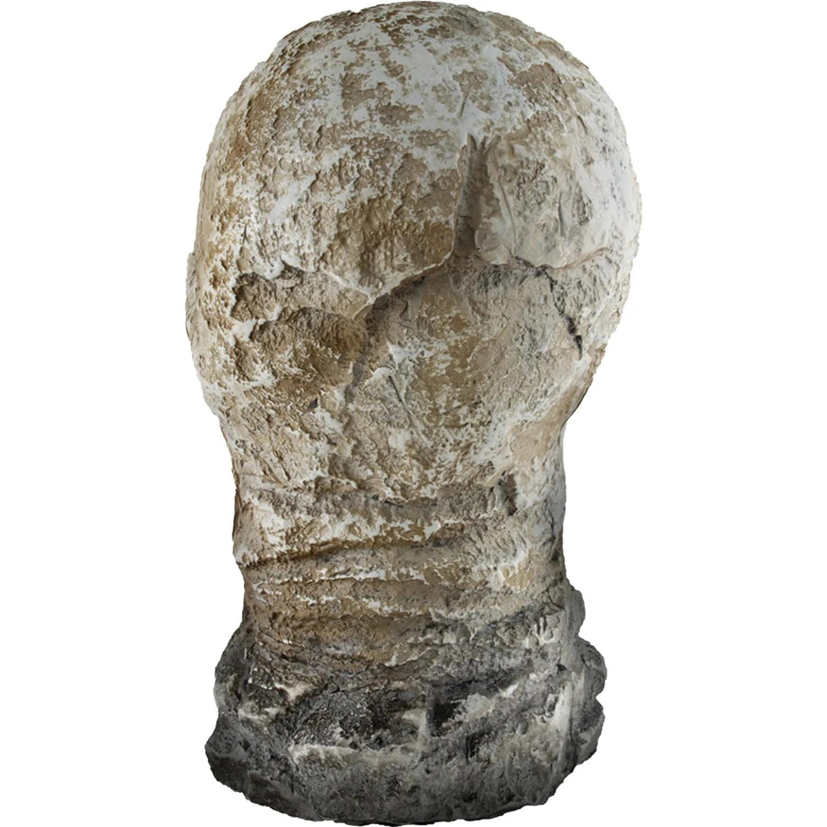 Witchwood™ Tekky Toys 12" Light-Up Animated Flaming Rotted Skull Halloween Decoration