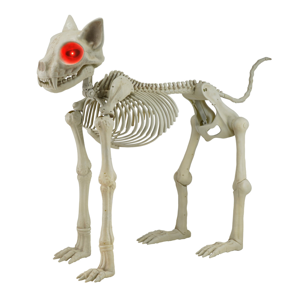 Witchwood™ Beige Plastic Animated Skeleton Cat, 60-inch, Halloween Decoration