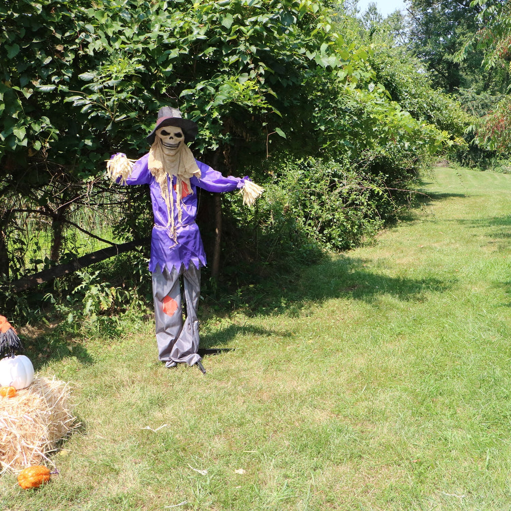 Witchwood™ 6 ft Standing Halloween Scarecrow Yard Decoration with LED Green Eyes, HHSCR-5FLS
