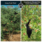 Witchwood™ Halloween Realistic Hanging Dead Crows Decoy Fake Crows for Halloween Garden Tree Porch Terrify Decorations