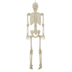 Witchwood™ 5-foot Poseable LED Illuminated Skeleton, Halloween Decoration