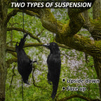 Witchwood™ Halloween Realistic Hanging Dead Crows Decoy Fake Crows for Halloween Garden Tree Porch Terrify Decorations