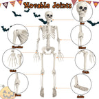 Witchwood™ OZMI Halloween Skeleton Decoration for Haunted House, 38 Inch Full Body Plastic Skull Skeleton with Posable Joints for Halloween Party Haunted House Bar Graveyard Decorations Party