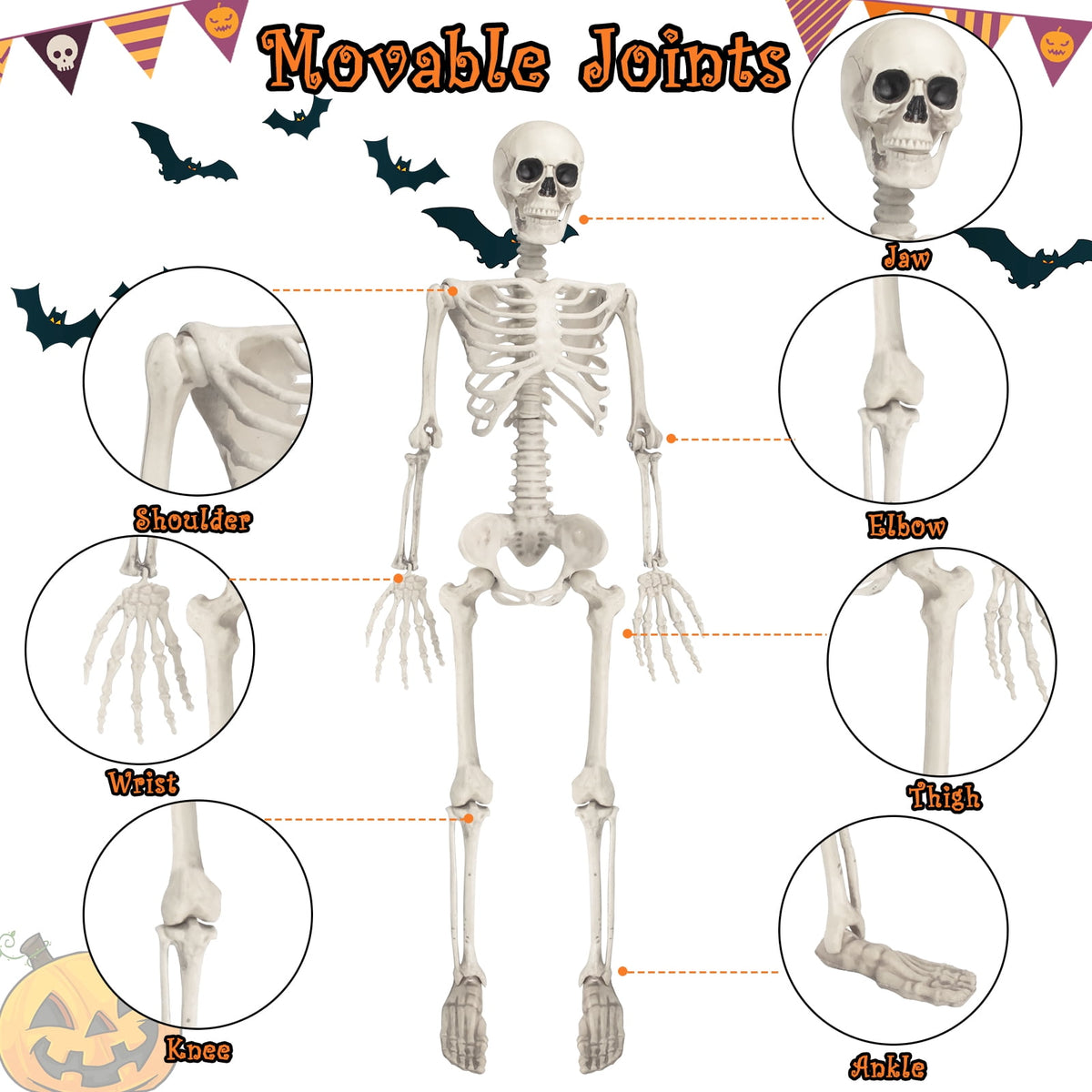 Witchwood™ OZMI Halloween Skeleton Decoration for Haunted House, 38 Inch Full Body Plastic Skull Skeleton with Posable Joints for Halloween Party Haunted House Bar Graveyard Decorations Party