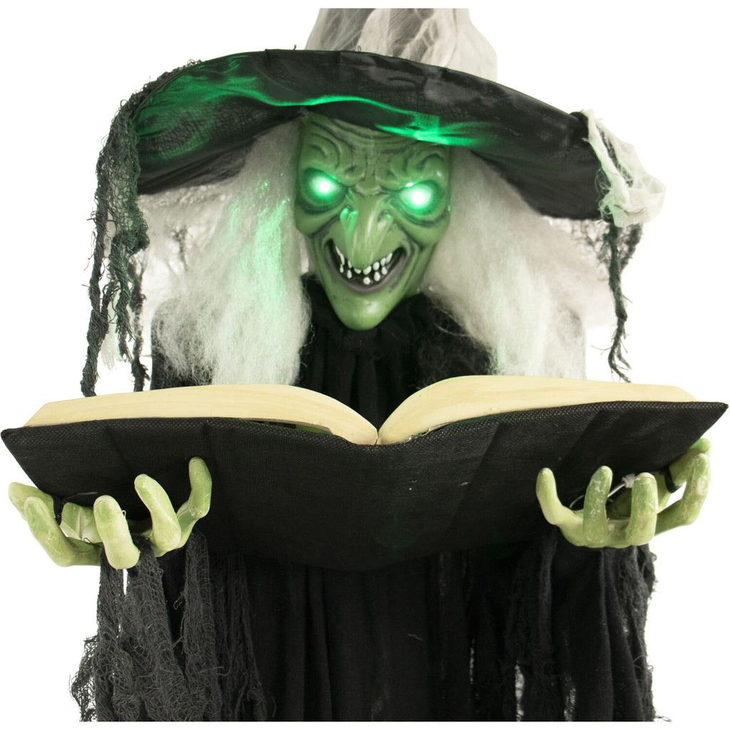 Witchwood™ 5.5 ft Poseable Witch with Spell Book, Lights and Sound, Indoor/Covered Outdoor Halloween Decoration, HHWITCH-9FLS