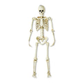 Witchwood™ Hanging Posable Skeleton Decoration, White, 5', Halloween