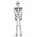 Witchwood™ 6' Inflatable Skeleton Halloween Party Decoration