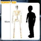 Witchwood™ 36" Full Body Skeleton Decoration,Halloween Posable Skeleton with Lights, Posable Joints Gothic Skeletons Decoration for Outdoor Indoor Yard Patio Haunted House,Light Up Spooky Party Props Decor