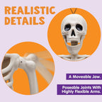 Witchwood™ 5 PCS Posable Halloween Skeleton Decor 16 Inches, Full Body Posable Joints Hanging Skeletons for Halloween Decorations, Graveyard Props, Haunted House Accessories, Spooky Scene Party Favors