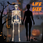 Witchwood™ 5.4 ft Halloween skeleton decoration, with movable joints, flexible skeleton for poses, scary skeleton suitable for indoor and outdoor Halloween decorations, haunted houses, courtyards, cemeteries.