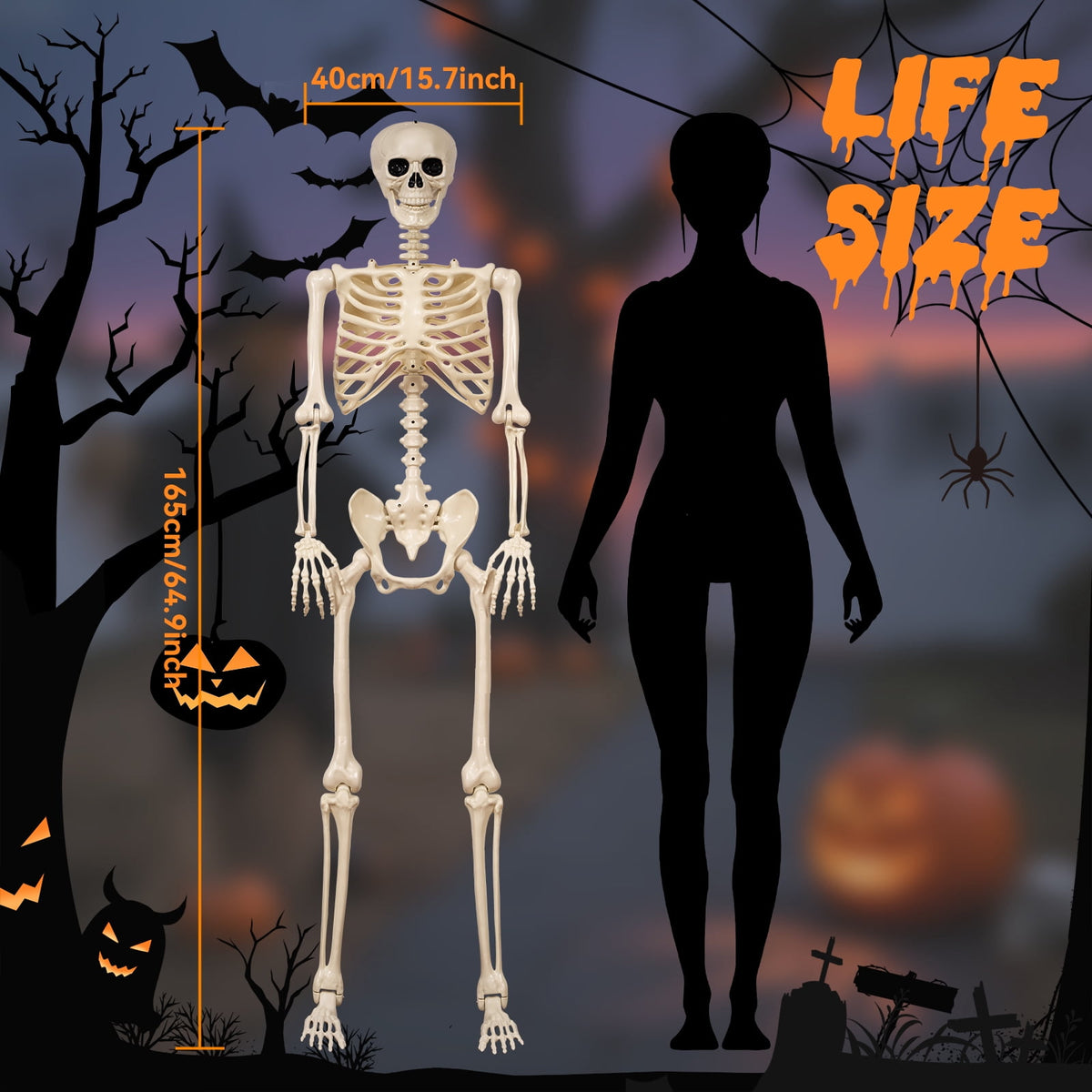 Witchwood™ 5.4 ft Halloween skeleton decoration, with movable joints, flexible skeleton for poses, scary skeleton suitable for indoor and outdoor Halloween decorations, haunted houses, courtyards, cemeteries.
