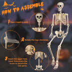 Witchwood™ 5.4 ft Halloween skeleton decoration, with movable joints, flexible skeleton for poses, scary skeleton suitable for indoor and outdoor Halloween decorations, haunted houses, courtyards, cemeteries.