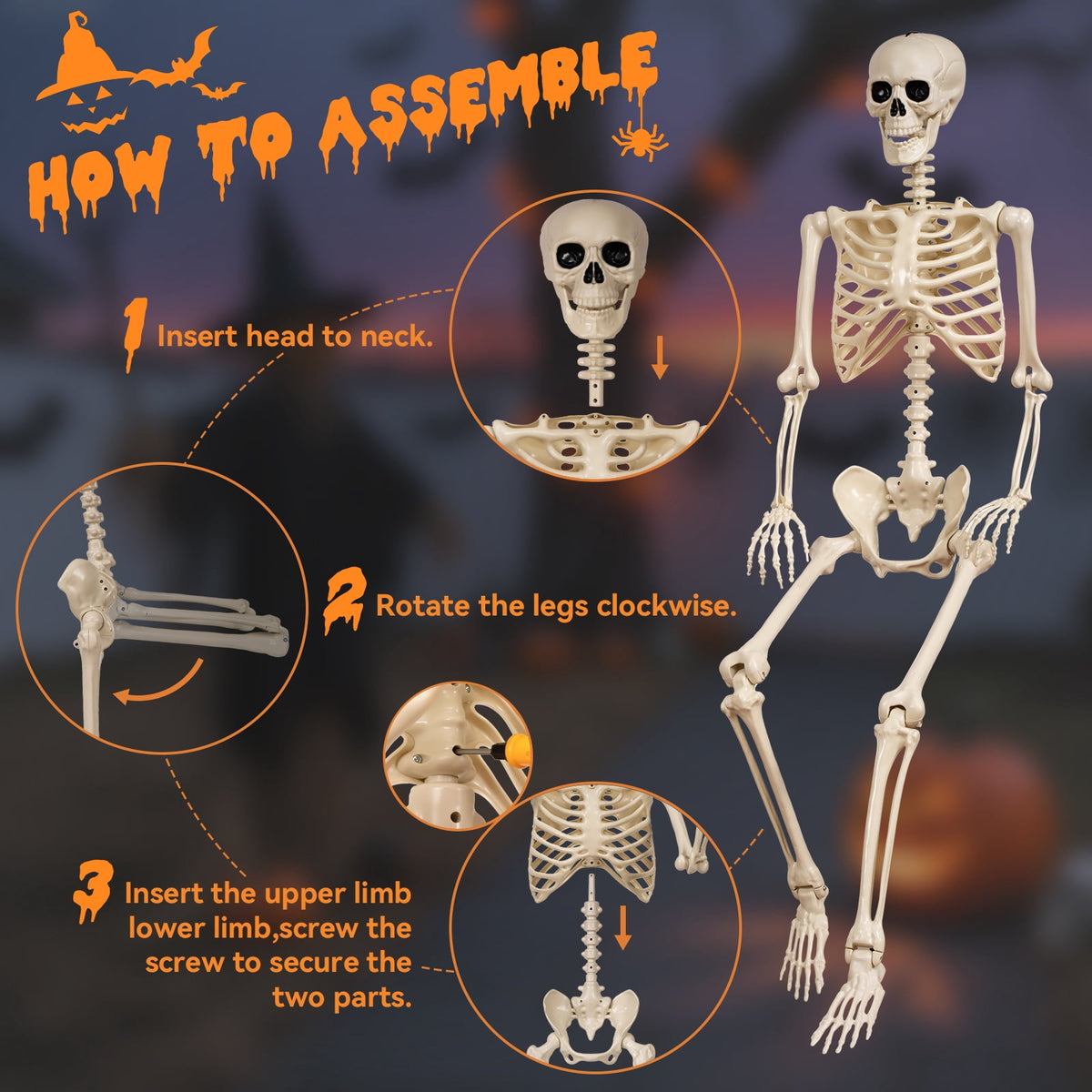 Witchwood™ 5.4 ft Halloween skeleton decoration, with movable joints, flexible skeleton for poses, scary skeleton suitable for indoor and outdoor Halloween decorations, haunted houses, courtyards, cemeteries.