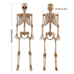 Witchwood™ 5.4ft Halloween Skeleton Decorations, Weathered Posable Skeleton Decor for Halloween Decorations Outdoor Indoor