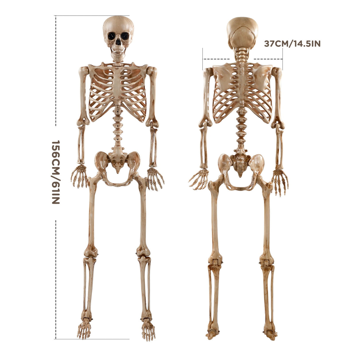 Witchwood™ 5.4ft Halloween Skeleton Decorations, Weathered Posable Skeleton Decor for Halloween Decorations Outdoor Indoor