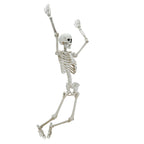 Witchwood™ Hanging Posable Skeleton Decoration, White, 5', Halloween