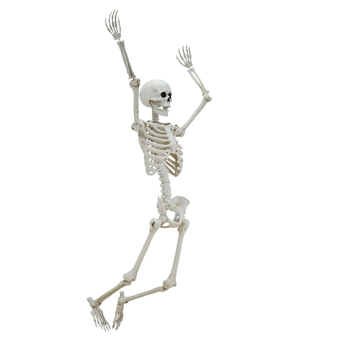 Witchwood™ Hanging Posable Skeleton Decoration, White, 5', Halloween