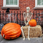 Witchwood™ 35" Halloween Skeleton Decoration ? 3 ft Body with Posable Joints for Indoor & Outdoor Yard Patio Lawn Garden Haunted Party Decor