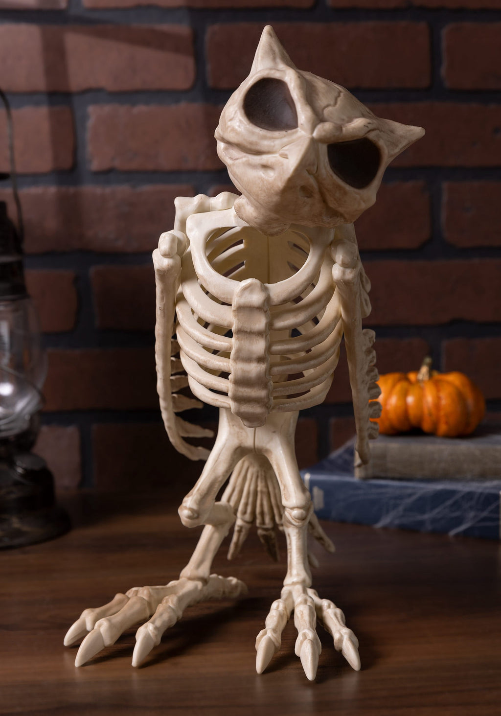 Witchwood™ USA Owl Skeleton Halloween Decoration - 13.5 in