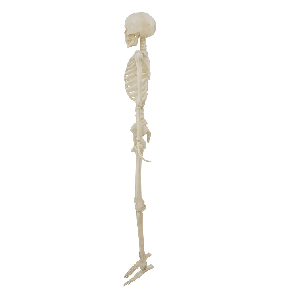 Witchwood™ 5-foot Poseable LED Illuminated Skeleton, Halloween Decoration