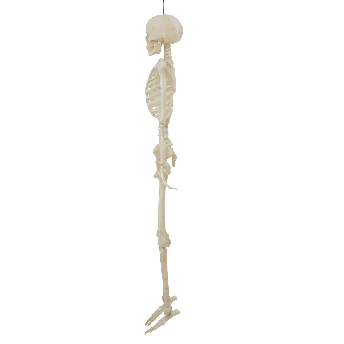 Witchwood™ 5-foot Poseable LED Illuminated Skeleton, Halloween Decoration