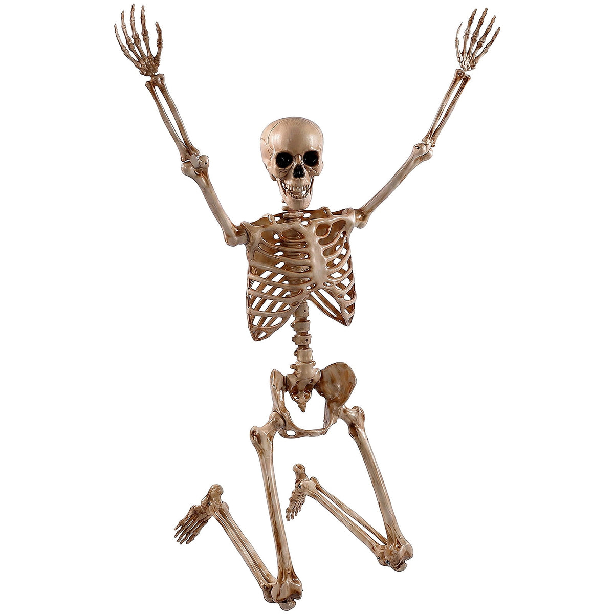 Witchwood™ 5.4ft Halloween Skeleton Decorations, Weathered Posable Skeleton Decor for Halloween Decorations Outdoor Indoor