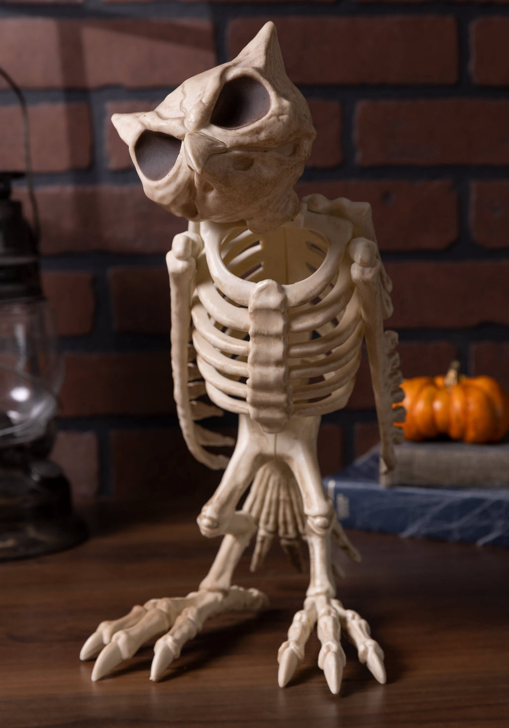 Witchwood™ USA Owl Skeleton Halloween Decoration - 13.5 in