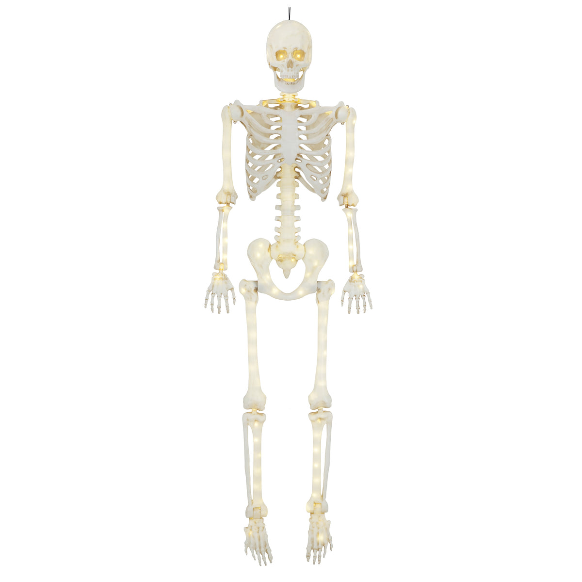 Witchwood™ 5-foot Poseable LED Illuminated Skeleton, Halloween Decoration