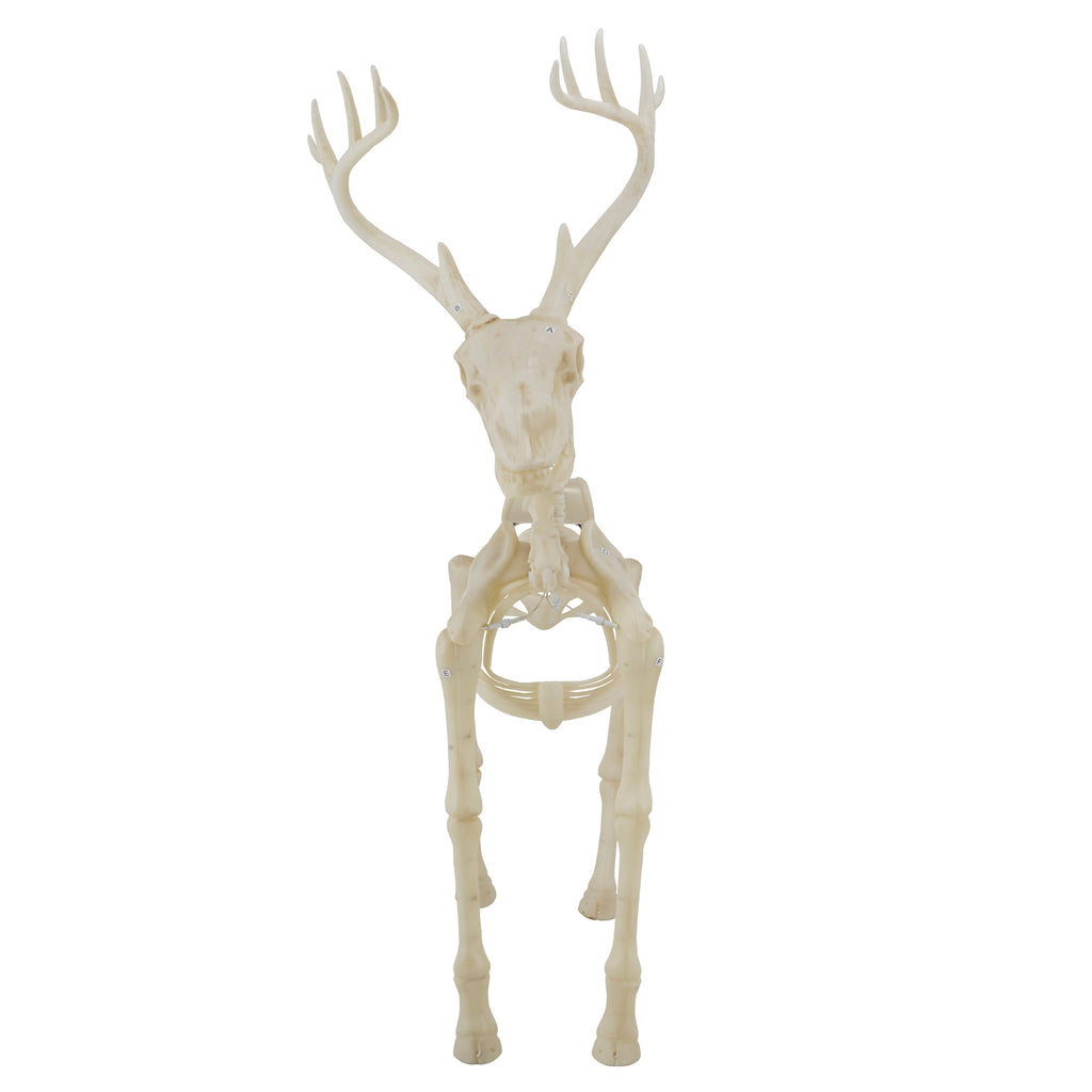 Witchwood™ LED Illuminated Deer Skeleton, 60-inch, Halloween Decoration