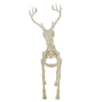 Witchwood™ LED Illuminated Deer Skeleton, 60-inch, Halloween Decoration