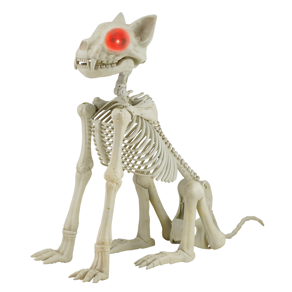 Witchwood™ Beige Plastic Animated Skeleton Cat, 60-inch, Halloween Decoration