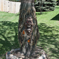 Witchwood™ FX Black Ghost Halloween Outdoor Decor, Red Eyes Fade In and Out (1 Count)