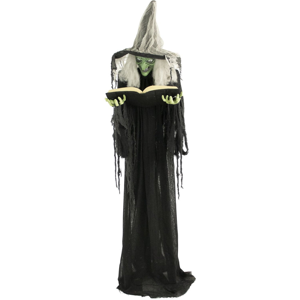 Witchwood™ 5.5 ft Poseable Witch with Spell Book, Lights and Sound, Indoor/Covered Outdoor Halloween Decoration, HHWITCH-9FLS