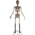 Witchwood™ 8 ft Tall Motion-Activated Towering Skeleton, Premium Talking Halloween Animatronic Decoration, Plug-In, HHTWRSKEL-2FLSA