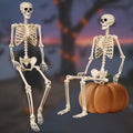 Witchwood™ 5.4 ft Halloween skeleton decoration, with movable joints, flexible skeleton for poses, scary skeleton suitable for indoor and outdoor Halloween decorations, haunted houses, courtyards, cemeteries.