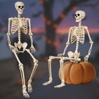 Witchwood™ 5.4 ft Halloween skeleton decoration, with movable joints, flexible skeleton for poses, scary skeleton suitable for indoor and outdoor Halloween decorations, haunted houses, courtyards, cemeteries.