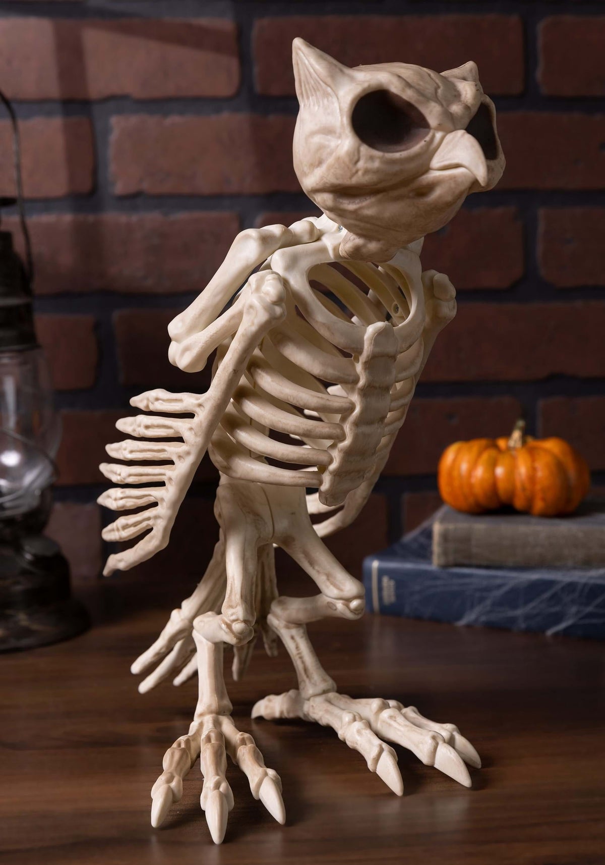 Witchwood™ USA Owl Skeleton Halloween Decoration - 13.5 in